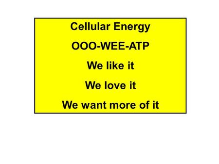 Cellular Energy OOO-WEE-ATP We like it We love it We want more of it.