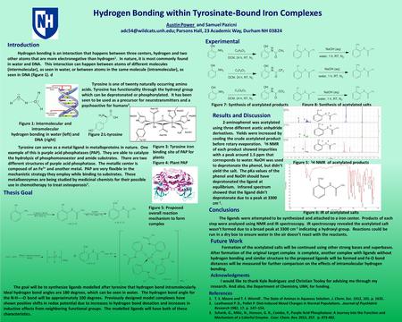 Hydrogen Bonding within Tyrosinate-Bound Iron Complexes Acknowledgments I would like to thank Kyle Rodriguez and Christian Tooley for advising me through.