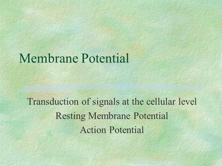 Membrane Potential Transduction of signals at the cellular level Resting Membrane Potential Action Potential.