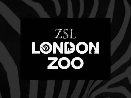 Your day at ZSL London Zoo Find out what to expect from a day at the Zoo Think about how you will make the day enjoyable for yourself, others and the.