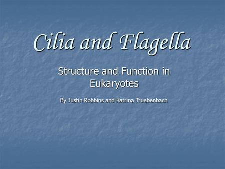 Cilia and Flagella Structure and Function in Eukaryotes By Justin Robbins and Katrina Truebenbach.