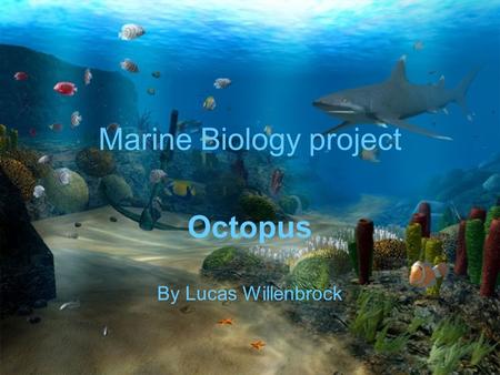 Marine Biology project