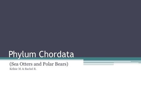 Phylum Chordata (Sea Otters and Polar Bears) Kellsie M. & Rachel R.