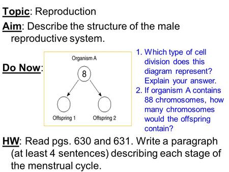 Topic: Reproduction Aim: Describe the structure of the male reproductive system. Do Now: HW: Read pgs. 630 and 631. Write a paragraph (at least 4 sentences)