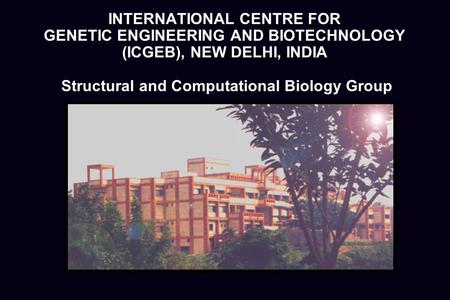 INTERNATIONAL CENTRE FOR GENETIC ENGINEERING AND BIOTECHNOLOGY (ICGEB), NEW DELHI, INDIA Structural and Computational Biology Group.