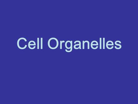 Cell Organelles. Plant Cell Animal Cell Cell Boundaries 1)Plasma Membrane – semi-permeable membrane 2)Cell Wall -Plants, Fungi, and Bacteria have this.