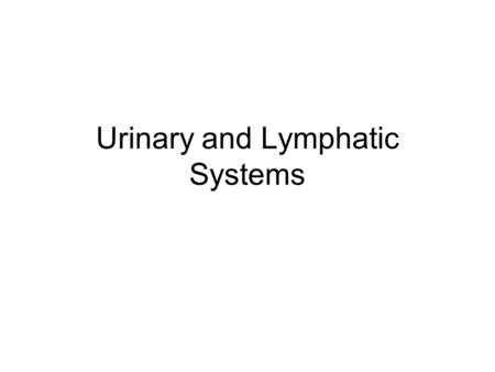 Urinary and Lymphatic Systems. Functions of Lymphatic System Filters lymph fluid Returns leaked fluid to circulatory system Produces and modifies cells.