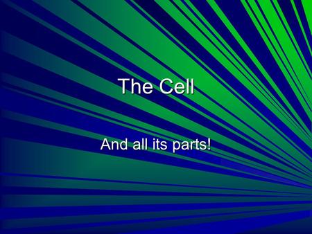 The Cell And all its parts!.