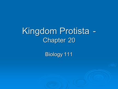 Kingdom Protista - Chapter 20