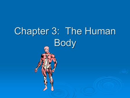 Chapter 3: The Human Body. Body Cells  Form tissues  Tissues form Organs  Organs form Systems (e.g., digestive)  Turnover  Require nutrients.