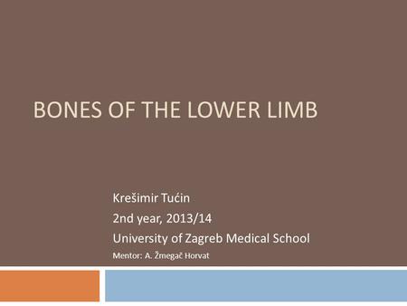 Bones of the lower limb Krešimir Tućin 2nd year, 2013/14