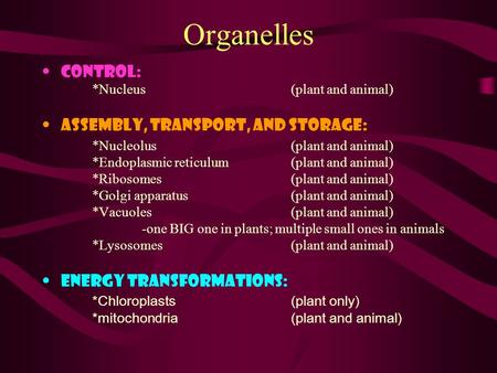 Organelles Control: *Nucleus (plant and animal) Assembly, Transport, and Storage: *Nucleolus(plant and animal) *Endoplasmic reticulum (plant and animal)