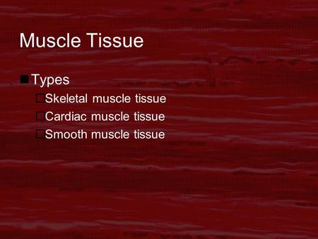 Muscle Tissue Types  Skeletal muscle tissue  Cardiac muscle tissue  Smooth muscle tissue.