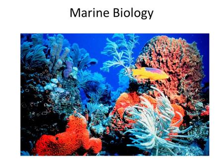 Marine Biology.