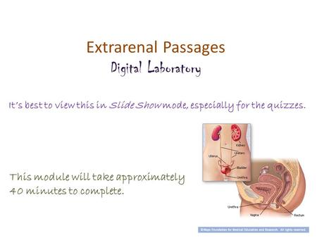Extrarenal Passages Digital Laboratory It’s best to view this in Slide Show mode, especially for the quizzes. This module will take approximately 40 minutes.