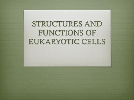 STRUCTURES AND FUNCTIONS OF EUKARYOTIC CELLS