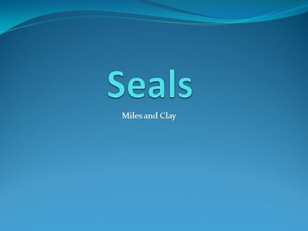 Seals Miles and Clay.