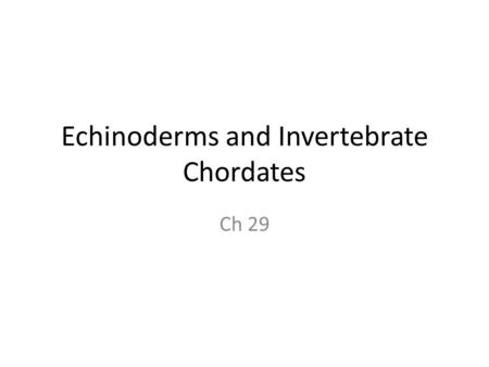 Echinoderms and Invertebrate Chordates Ch 29. Echinodermata Endoskeleton, radial symmetry, simple nervous system, varied nutrition, water vascular system.