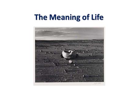 The Meaning of Life. Questioning the Question View 1.When someone ask “What is the meaning of life?” I have no idea what they are asking. Agree or disagree?