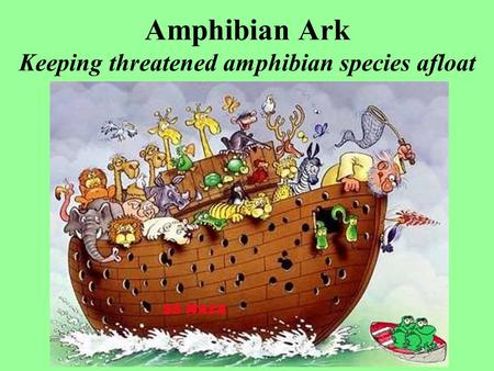 Amphibian Ark Keeping threatened amphibian species afloat.