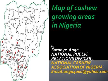 By Sotonye Anga NATIONAL PUBLIC RELATIONS OFFICER, NATIONAL CASHEW ASSOCIATION OF NIGERIA