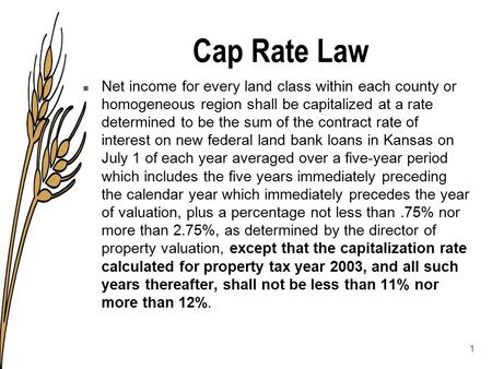 Cap Rate Law n Net income for every land class within each county or homogeneous region shall be capitalized at a rate determined to be the sum of the.