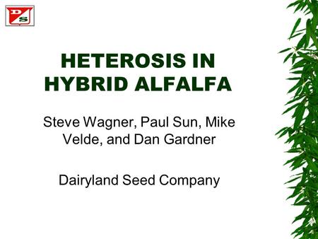 HETEROSIS IN HYBRID ALFALFA Steve Wagner, Paul Sun, Mike Velde, and Dan Gardner Dairyland Seed Company.