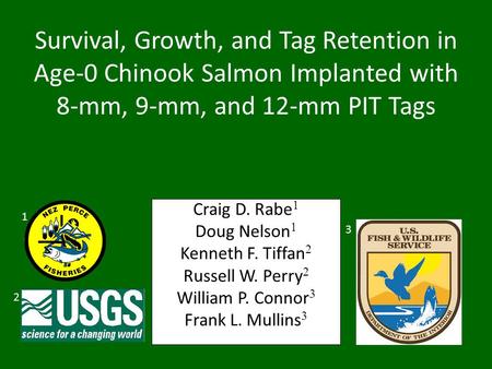 Craig D. Rabe 1 Doug Nelson 1 Kenneth F. Tiffan 2 Russell W. Perry 2 William P. Connor 3 Frank L. Mullins 3 2 1 3 Survival, Growth, and Tag Retention in.