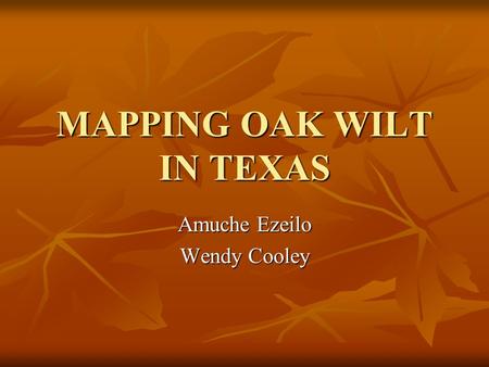 MAPPING OAK WILT IN TEXAS Amuche Ezeilo Wendy Cooley.