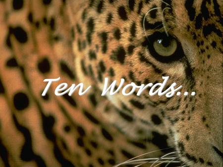 Ten Words... The most selfish one-letter word... I Avoid it Avoid it.