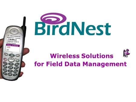BirdNest Services Wireless Solutions for Field Data Management.