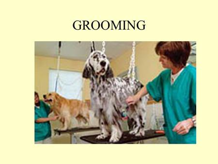 GROOMING. GROOMING The washing, combing, trimming, and brushing of the external parts of a pet.