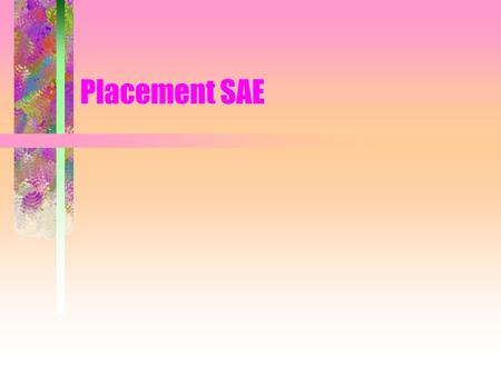 Placement SAE. What are the characteristics of a good placement SAE program? Relates to career objectives Provides job satisfaction Develops needed job.