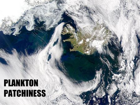 PLANKTON PATCHINESS. “[Encountered coloured water] extending about two miles from North to South and about six to eight hundred fathoms from West to East.