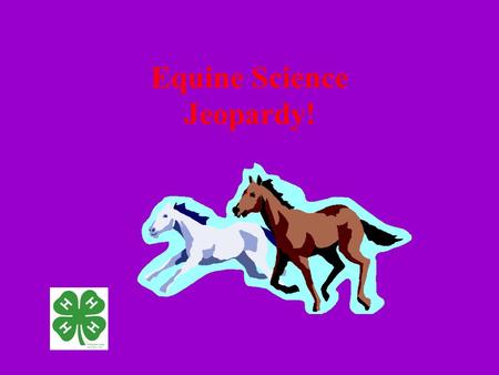 Equine Science Jeopardy!. VITALS GAITSNUTRITIONANATOMYHEALTH 100 200 300 100 200 300 400 500 400 500.
