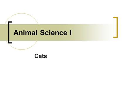 Animal Science I Cats.