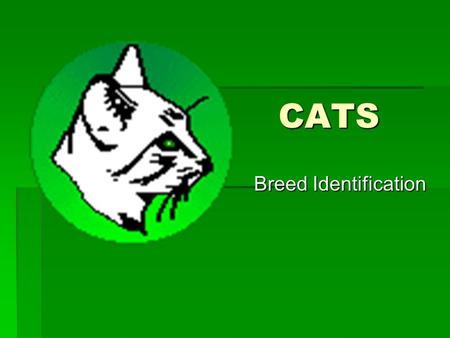 CATS CATS Breed Identification Breed Identification.