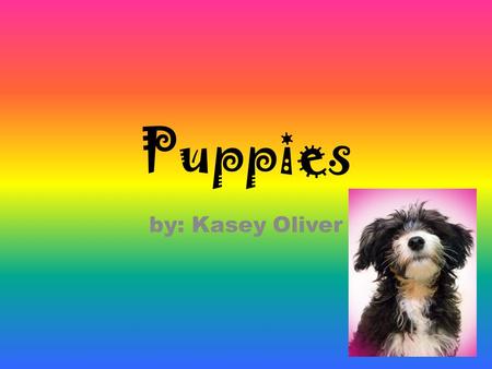 Puppies by: Kasey Oliver Puppies *Your dog will be a big part of your family *Your dog needs lots of exersise. *You will have to groom every part of.