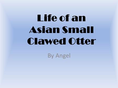 Life of an Asian Small Clawed Otter By Angel. Table of Contents.