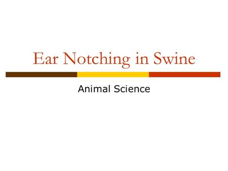 Ear Notching in Swine Animal Science.
