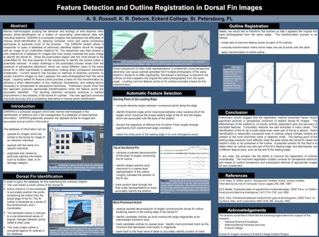 Feature Detection and Outline Registration in Dorsal Fin Images A. S. Russell, K. R. Debure, Eckerd College, St. Petersburg, FL Most Prominent Notch analyze.