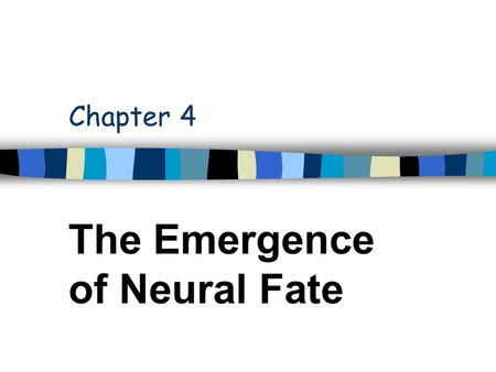 Chapter 4 The Emergence of Neural Fate. PNS Neurons in one Abdominal Hemisegment d v’ l v.