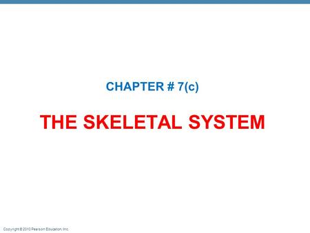 CHAPTER # 7(c) THE SKELETAL SYSTEM.