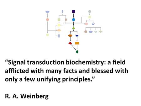 “Signal transduction biochemistry: a field afflicted with many facts and blessed with only a few unifying principles.” R. A. Weinberg.