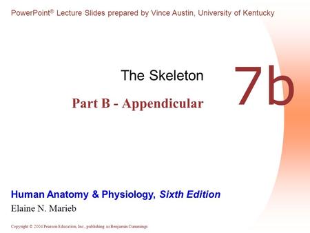 The Skeleton Part B - Appendicular