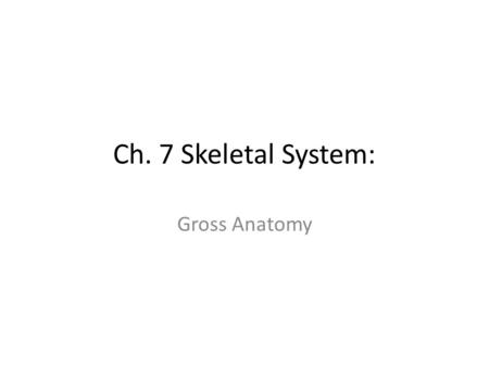 Ch. 7 Skeletal System: Gross Anatomy.