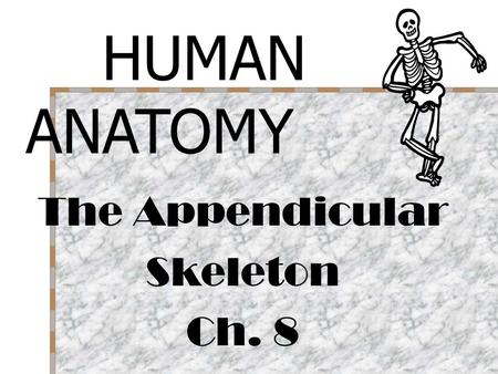 HUMAN ANATOMY The Appendicular Skeleton Ch. 8.