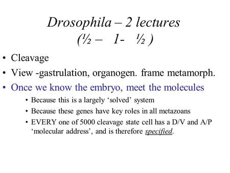 Drosophila – 2 lectures (½ – 1- ½ ) Cleavage View -gastrulation, organogen. frame metamorph. Once we know the embryo, meet the molecules Because this is.