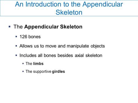 An Introduction to the Appendicular Skeleton