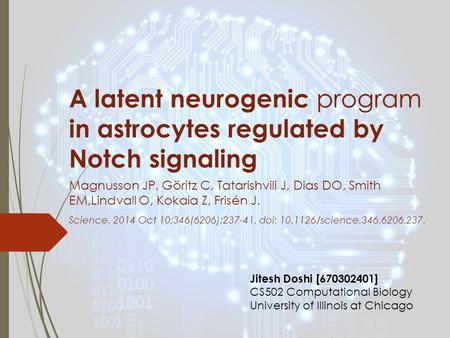 A latent neurogenic program in astrocytes regulated by Notch signaling Magnusson JP, Göritz C, Tatarishvili J, Dias DO, Smith EM,Lindvall O, Kokaia Z,